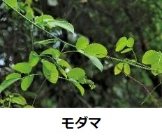 ナリス化粧品、ポイントメークブランド「グロリアート」をリニューアルし口紅「ザ ルージュ」10色とケースを発売