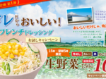 松屋フーズ、松屋60周年記念企画第1弾として対象メニューの注文で「生野菜」を100円にて期間・時間限定販売