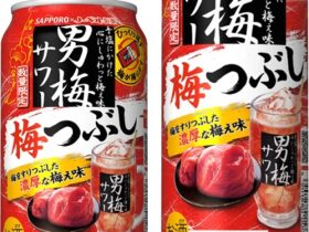 サッポロ、「サッポロ 男梅サワー 梅つぶし」を数量限定発売