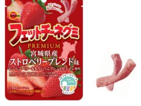 ブルボン、「フェットチーネグミPREMIUM宮城県産ストロベリーブレンド味」を期間限定発売