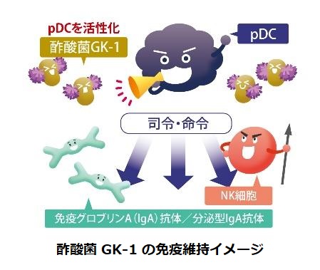 キユーピー、機能性表示食品「キユーピー 免疫ケア 酢酸菌 GK-1 マヨネーズタイプ」など2品を発売