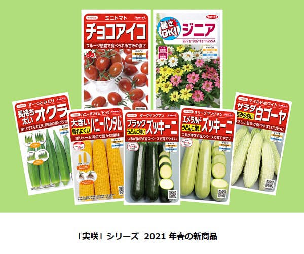 サカタのタネ、絵袋種子「実咲」シリーズからミニトマト「チョコアイコ」など2021年春の新商品7点を発売