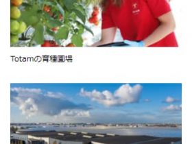 三井物産、オランダのトマト種子企業Totamへの出資参画について発表