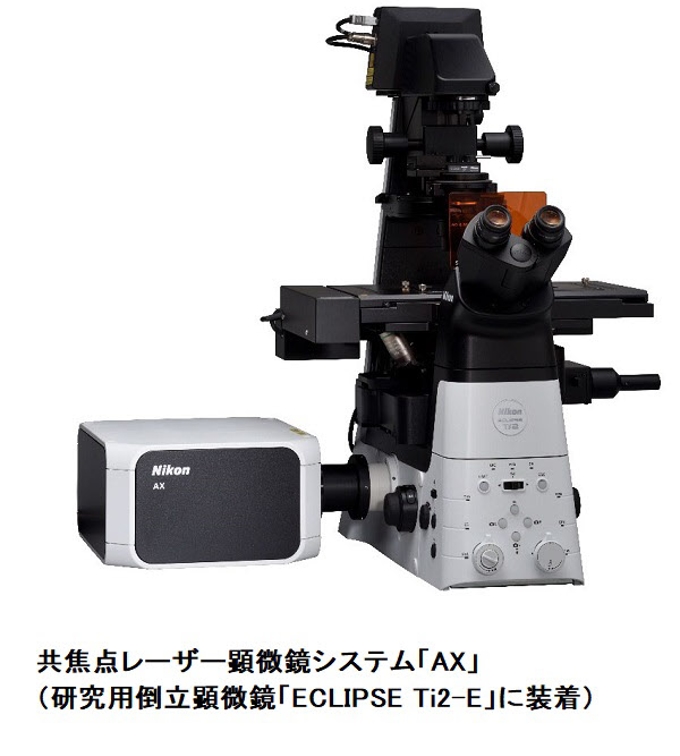 ニコン、共焦点レーザー顕微鏡システム「AX」「AX R」