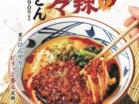 丸亀製麺、「シビ辛麻辣（マーラー）担々うどん」