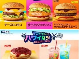 日本マクドナルド、「チーズロコモコ」「ガーリックシュリンプ」など全8種類のハワイアンメニュー