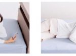 フランスベッド、うつ伏せ・仰向け・横向き寝のそれぞれにフィットする低反発枕「ウミガメピロー」