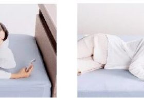 フランスベッド、うつ伏せ・仰向け・横向き寝のそれぞれにフィットする低反発枕「ウミガメピロー」