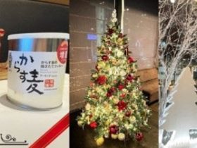 藤田観光、広島ワシントンホテルが「クリスマスプラン」