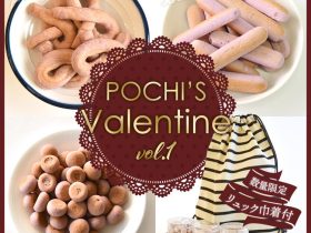 マーケティングパートナー、《POCHI》バレンタインにぴったりなオヤツ3種セットを発売
