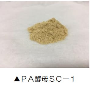 日清ファルマ、業務用製品としてポリアミン等の複数成分を規格化した酵母「PA酵母SC−1」を発売