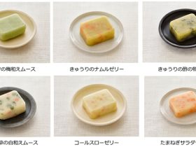 マルハニチロ、業務用冷凍介護食「やさしいおかず」シリーズの惣菜メニュー6品を発売