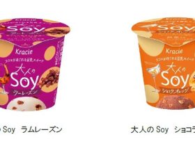 クラシエフーズ、豆乳アイス「Soy（ソイ）」から「大人のSoy ラムレーズン/ショコラオレンジ」などを発売