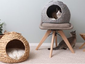 ヤマソロ、「ヤマソロ」猫と暮らす快適インテリア！天然素材で編んだ「ペットハウス」を発売