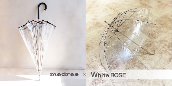 マドラス、江戸時代から300年続く傘のホワイトローズとのコラボレーション・アンブレラを発売