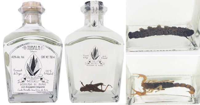 アールオーエヌ、食用昆虫入り酒! メキシコの伝統的な製法にこだわったプレミアム アガベ スピリッツ。34種類 発売開始