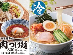 物語コーポレーション、夏の期間限定「丸源冷麺」と「旨辛肉つけ麺」を発売