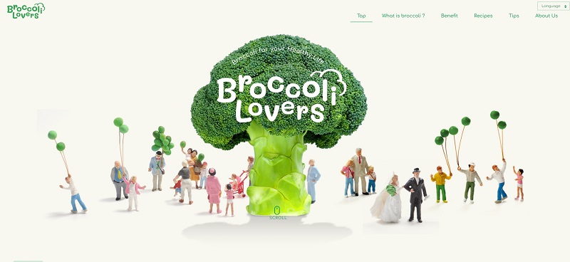 サカタのタネ、ブロッコリー総合情報サイト「Broccoli Lovers」をオープン