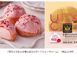 ローソン、「栃木とちおとめ苺の生カスタードシュークリーム」を販売エリアを拡大して発売