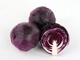 サカタのタネ、紫キャベツの新品種「レッドブライト」の種子を営利生産者向けに発売