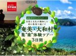 JALグループ、鹿児島県奄美・大和村を満喫する「集"楽"体験ツアー」を「奄美群島サステナブルプロジェクト」として販売開始
