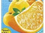 カゴメ、「野菜生活100 瀬戸内柑橘ミックス」を期間限定発売