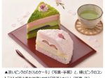 銀座コージーコーナー、春スイーツ「さくらのケーキ」「抹茶とさくら」「苺とピスタチオのケーキ」を発売