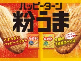 亀田製菓、『73ｇ ハッピーターン スパイス』を発売