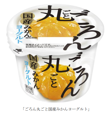 北海道乳業、「ごろん丸ごと国産みかんヨーグルト」を発売
