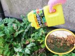 扶桑化学、雑草の葉や茎にかけて根まで枯らす除草剤「ウィードカット」2L・4Lを発売