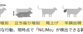 ニコン、牛の分娩の兆候をAIで検知するライブモニタリングシステム「NiLIMo」を発売