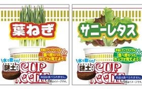 日清食品、「カップヌードル 野菜栽培コンプリートセット」を日清食品グループオンラインストアで数量限定発売