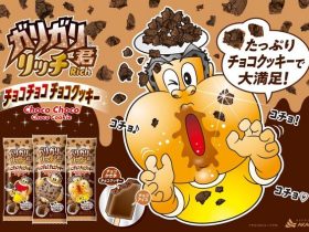 赤城乳業、「ガリガリ君リッチチョコチョコチョコクッキー」を発売