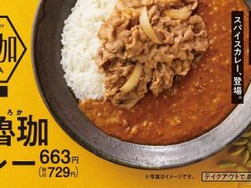 吉野家、「SPICY CURRY 魯珈」が監修した「牛魯珈カレー」と「肉だく牛魯珈カレー」を期間限定販売