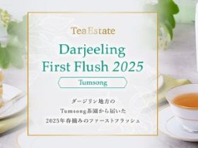 三井農林、「Darjeeling First Flush 2025 -Tumsong- 」を発売