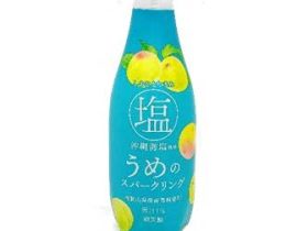 イトーヨーカ堂、熱中症対策の一環としてセブン&アイ限定商品「塩うめのスパークリング 410ml」を限定発売