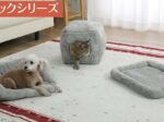 コメリ、オリジナルブランド「Pet ami」から「あごのせマット グレー」など秋冬用ペット寝具を販売開始