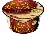 協同乳業、「メイトー とろ〜りカラメルプリン」を発売