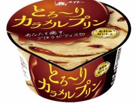 協同乳業、「メイトー とろ〜りカラメルプリン」を発売