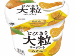 北海道乳業、「とびきり大粒ヨーグルト みかん」を期間限定発売