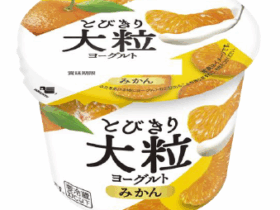 北海道乳業、「とびきり大粒ヨーグルト みかん」を期間限定発売