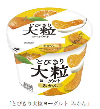 北海道乳業、「とびきり大粒ヨーグルト みかん」を期間限定発売