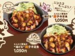 松屋フーズ、「松のや」で「にんにく醤油の揚げる 豚テキ定食 / 鶏テキ定食」を発売