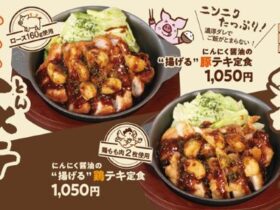 松屋フーズ、「松のや」で「にんにく醤油の揚げる 豚テキ定食 / 鶏テキ定食」を発売