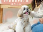 「クリエイティブヨーコ、「ペットパラダイス」の「makokoro」シリーズから新ライン「Hokarela」を発売」