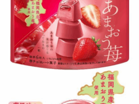 不二家、「プレミアムルック（あまおう苺）パウチ」を発売