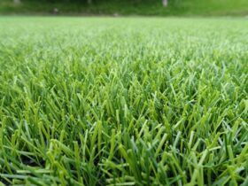 住友ゴム、筑波大との共同研究で開発したプレーヤーズファーストのスポーツ用人工芝「ハイブリッドターフREX」を発売