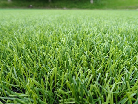 住友ゴム、筑波大との共同研究で開発したプレーヤーズファーストのスポーツ用人工芝「ハイブリッドターフREX」を発売