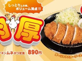松屋フーズ、とんかつ専門店の「松のや」で「肉厚チキンムネかつ」を発売